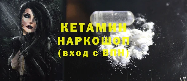 индика Михайловск