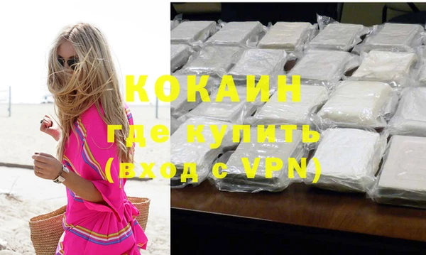 индика Михайловск