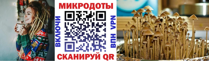 Галлюциногенные грибы Magic Shrooms  Коряжма 